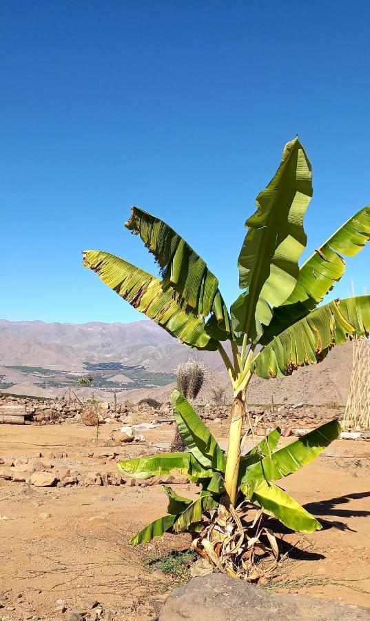 Campo De Cielo Mamalluca Valle De Elqui Вікунья Екстер'єр фото